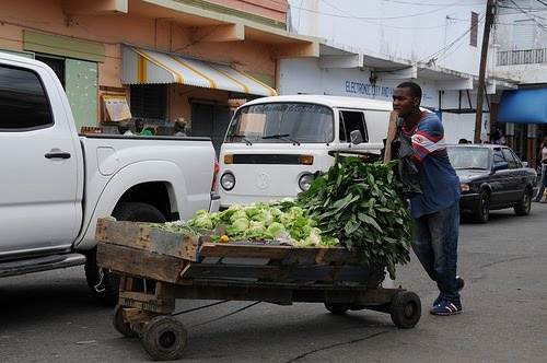 handcart-Optimized