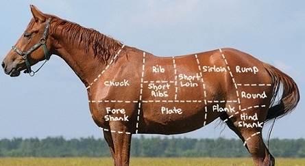 horse-meat_w445-Optimized