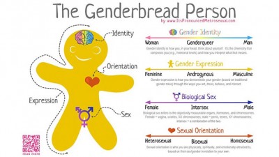 genderbread chart